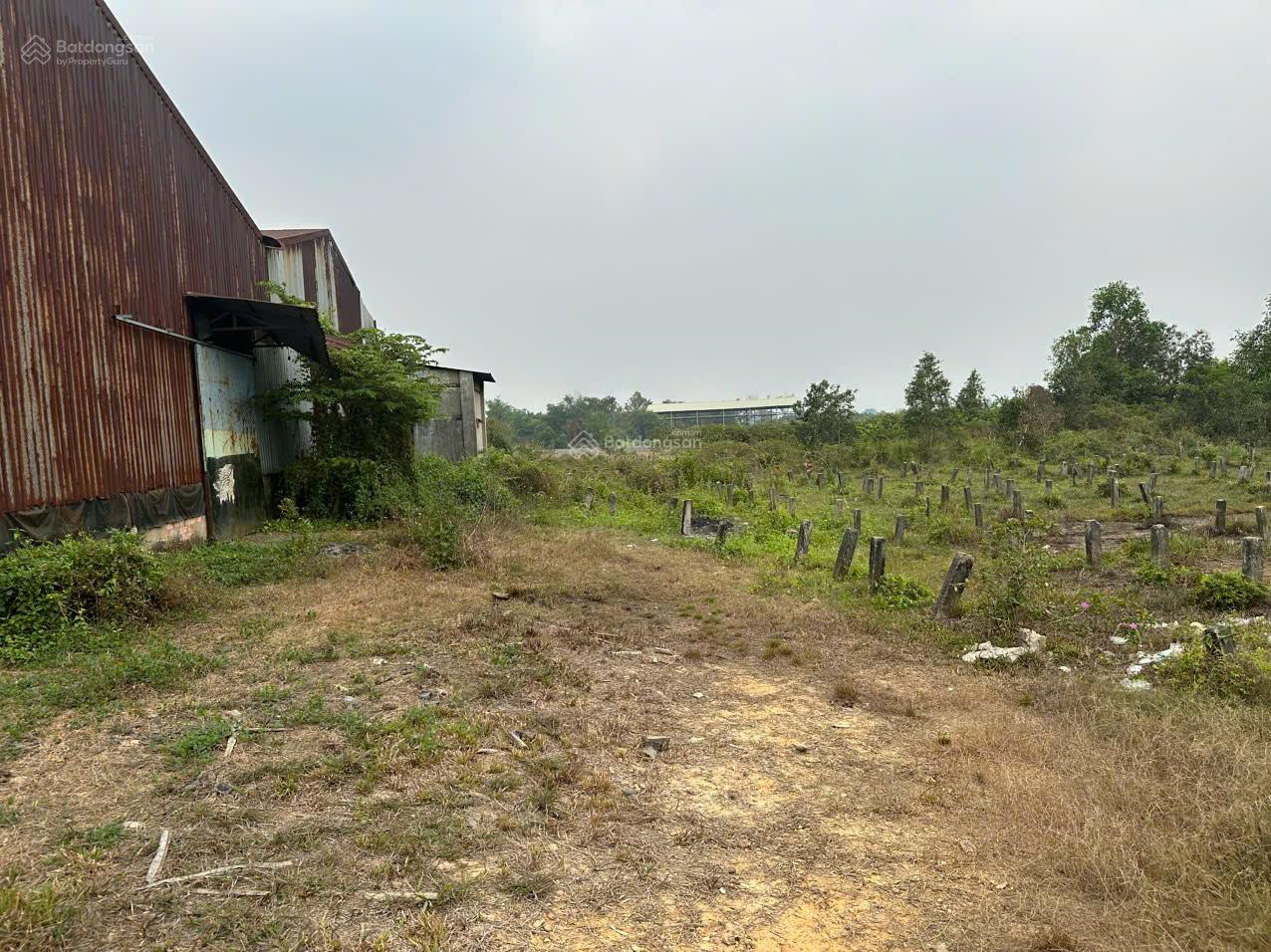 Chính chủ bán 1,7ha sát Vinhomes Củ Chi cách hơn 200met, giá 1,45tr/m2 sổ hồng đường nhựa