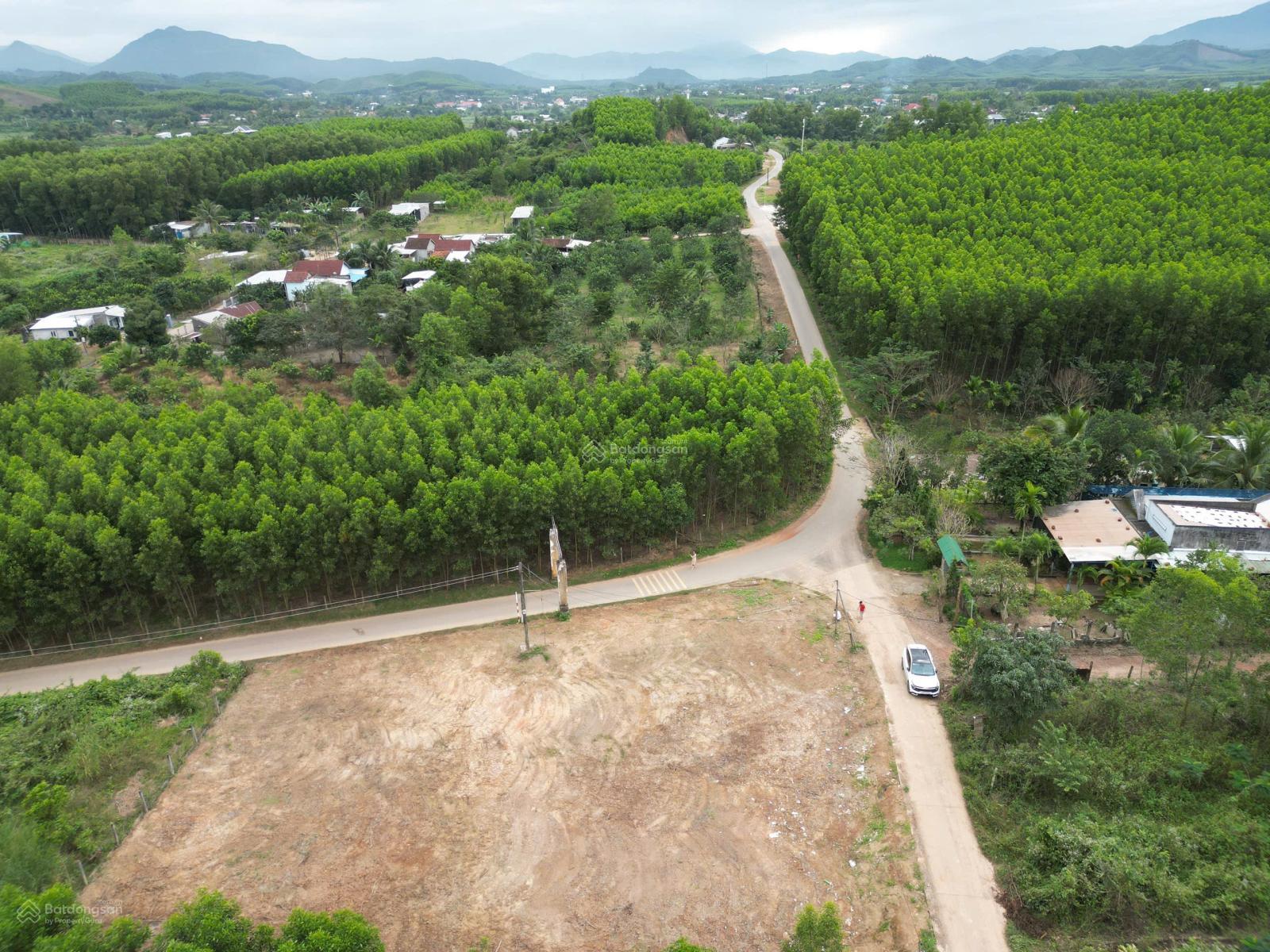 Hàng phân lô Diên Khánh full thổ cư, đường nhựa mở rộng 24m DT 1.296m2 Diên Xuân - Diên Khánh