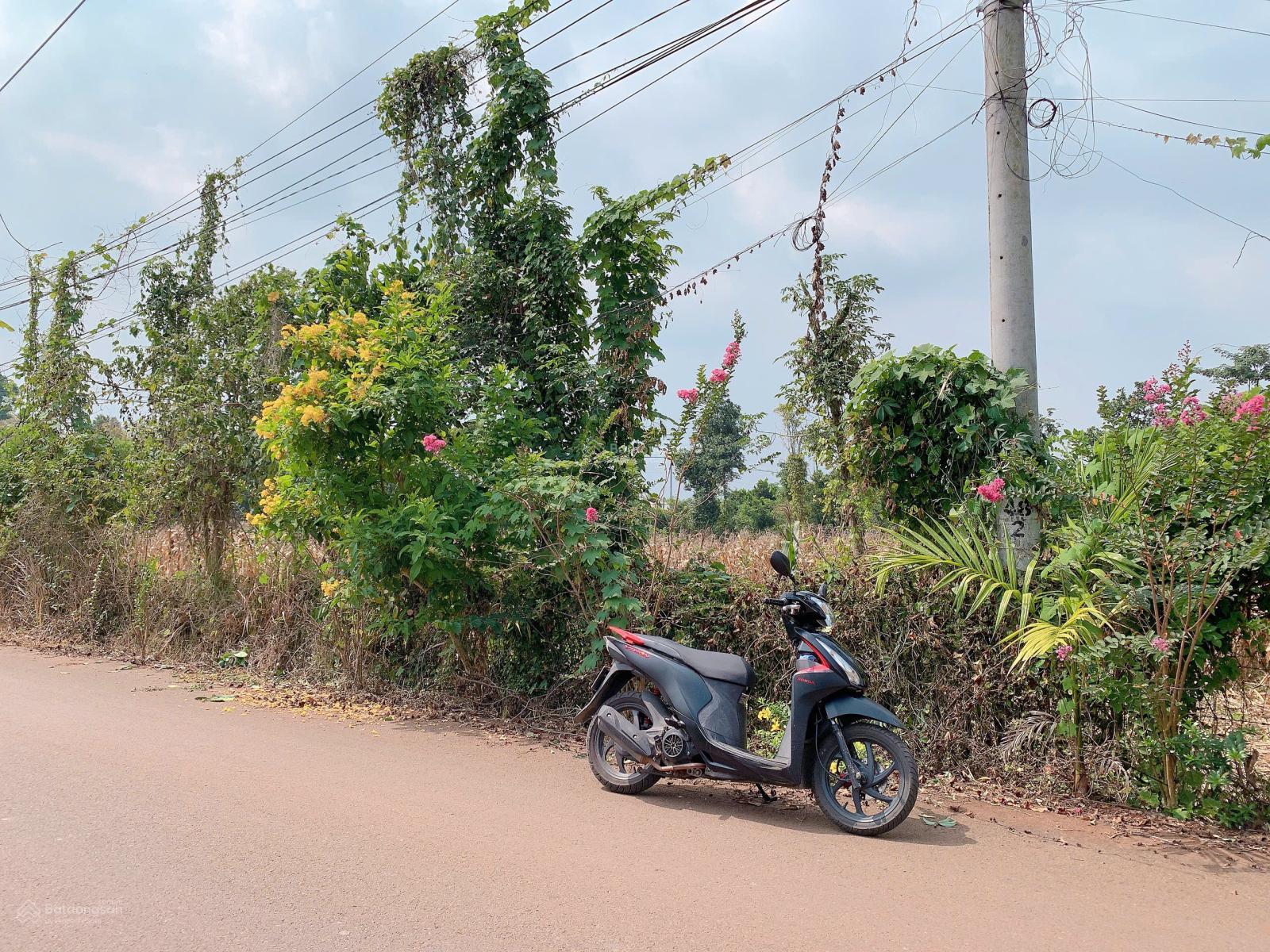 Bán 35x40 có 80tc đất Kim Long, Tp.HCM. Giá 3,7 tỷ.