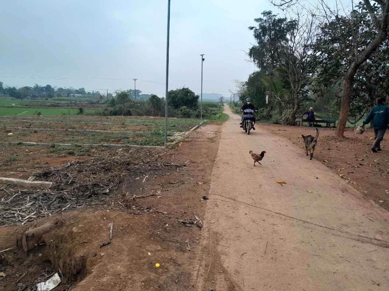 Bán đất xã Thạch Sơn, huyện Thạch Thành, tỉnh Thanh Hóa 2040m2, mặt tiền 54m.