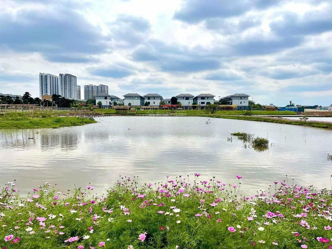 [Home&Land] Tổng hợp quỹ căn liền kề cho thuê tại dự án Spkendora ( Mailand Hanoi City)