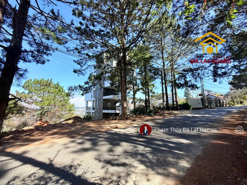 Bán lô đất mặt tiền Trịnh Hoài Đức đối diện KDL Nam Hồ Đà Lạt, view thông và thung lũng đèn