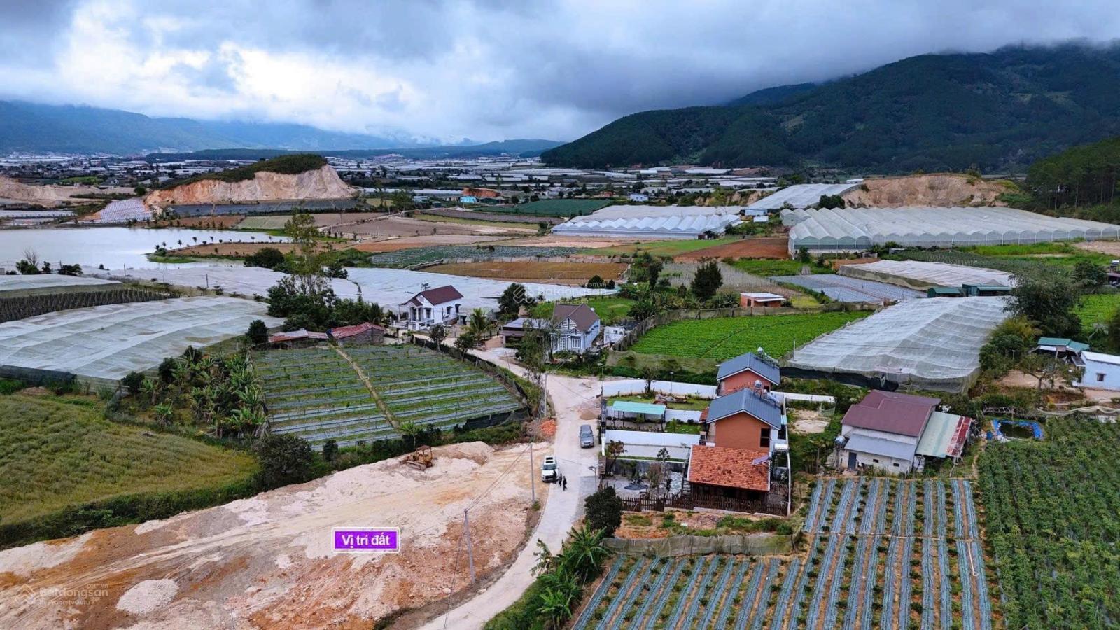 Xoay tới xoay lui dì không đủ vốn đành bán lỗ 600m2 ven Đà Lạt chỉ 390tr