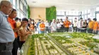 KĐT THE LINK CITY CỬA NGÕ SÂN BAY QUỐC TẾ LONG THÀNH, CHỈ 16TR/M2 SỔ HỒNG RIÊNG TỪNG NỀN
