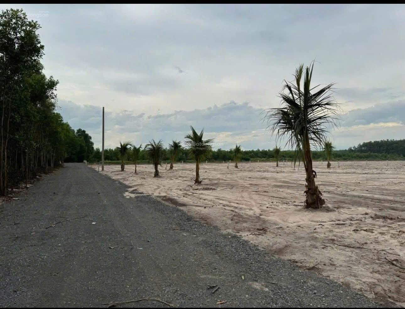 Cần bán 2 lô đất sào góc 2 mặt tiền giá rẻ, rất phù hợp khách mua đất trồng cây, làm vườn, đầu tư