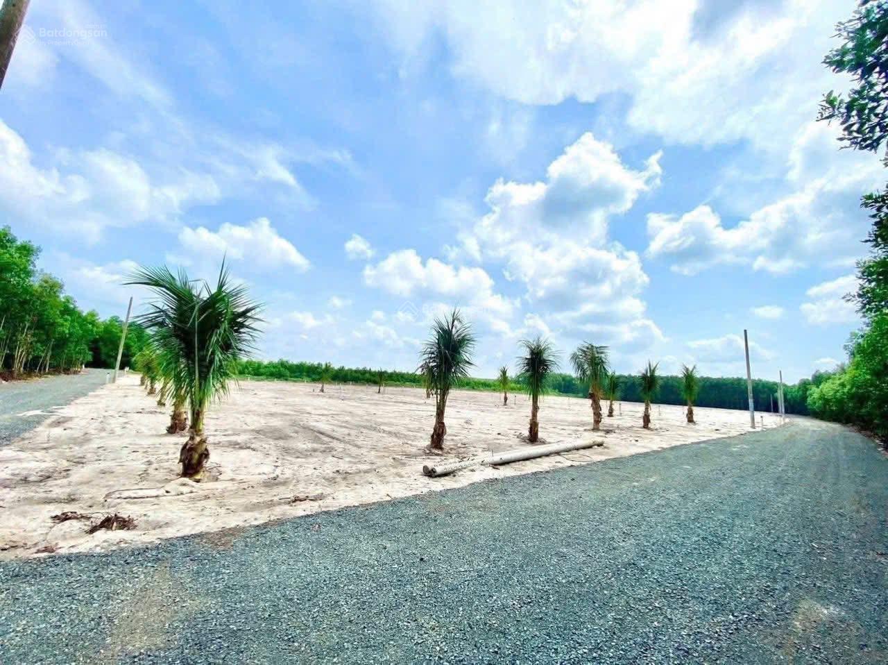 Cần bán 2 lô đất sào góc 2 mặt tiền giá rẻ, rất phù hợp khách mua đất trồng cây, làm vườn, đầu tư