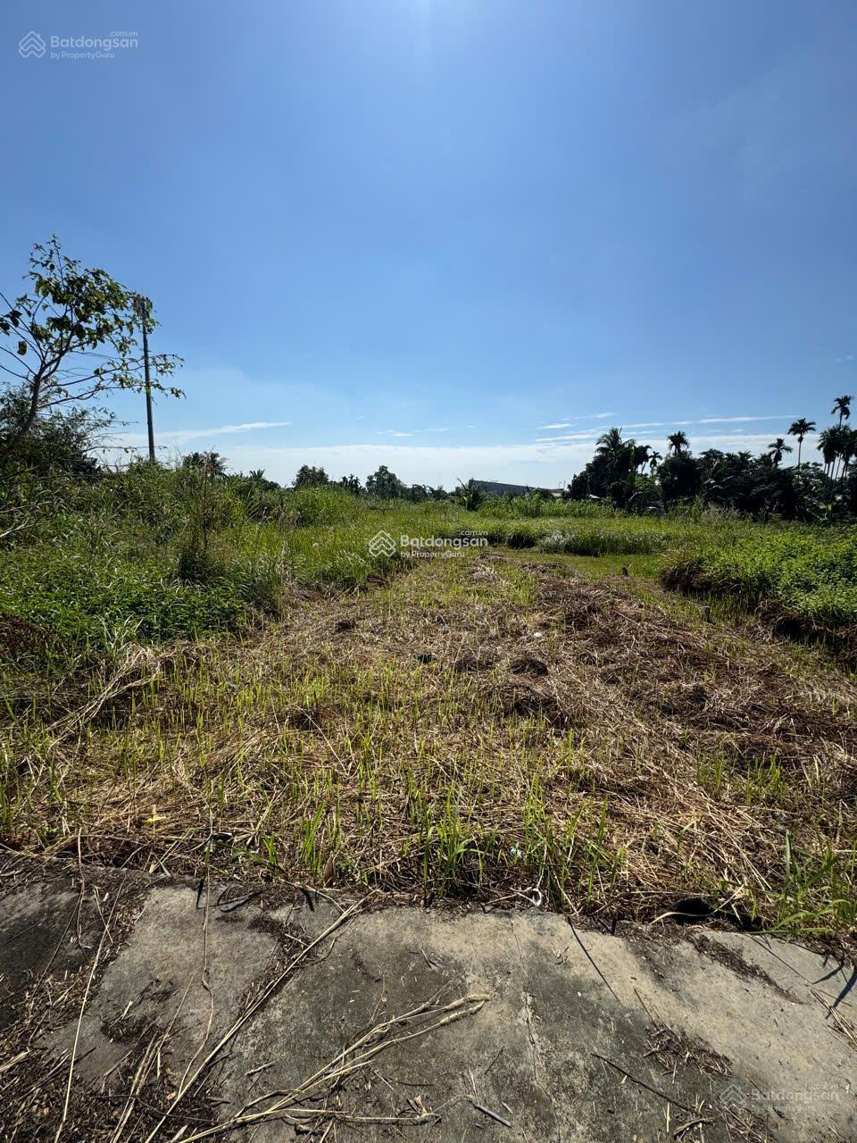 BÁN ĐẤT THỔ CƯ HUỲNH THỊ DẦN BÌNH MỸ, CỦ CHI. Giá chỉ 2,1 tỷ/99 m2- 0931 272 ***