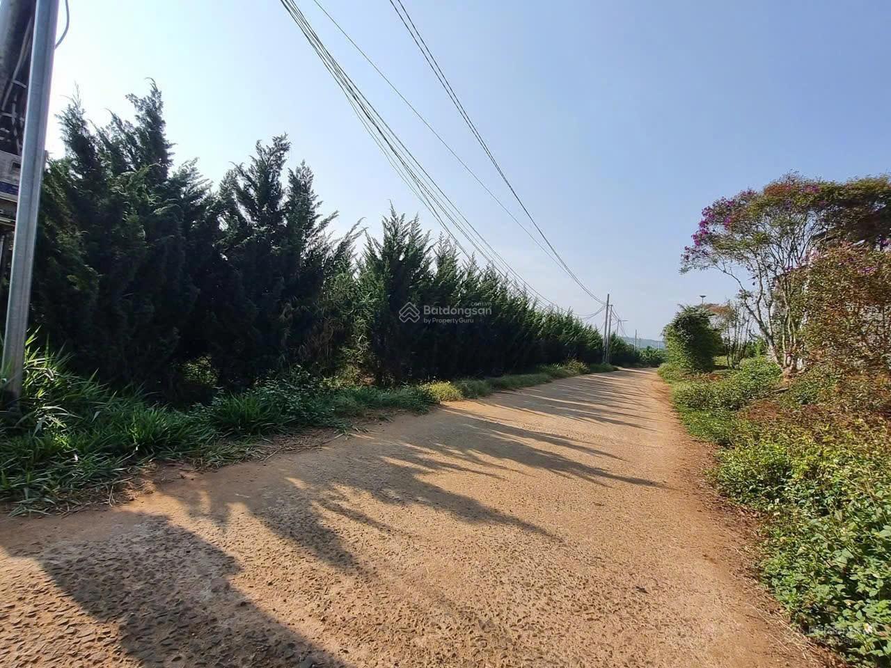 ĐẤT ĐẸP  GIÁ TỐT - CHÍNH CHỦ CẦN BÁN LÔ ĐẤT VỊ TRÍ ĐẸP TẠI Xã Phúc Thọ, Lâm Hà, Lâm Đồng