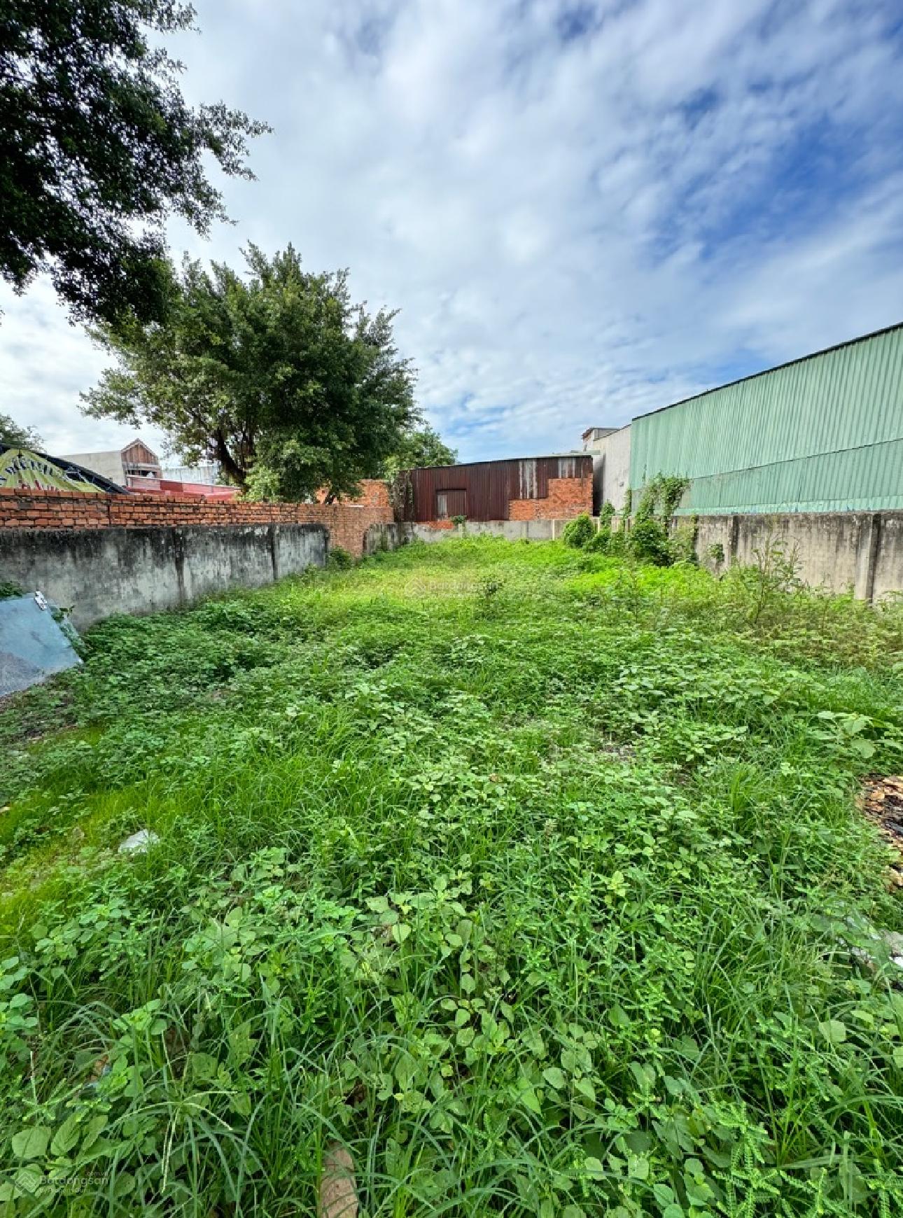 ĐẤT MẶT TIỀN HUỲNH THỊ MÀI HÓC MÔN- 300m VỊ TRÍ KINH DOANH GIÁ CHỈ 8,2 TY TL