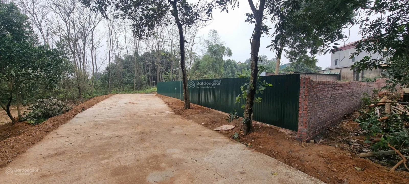 Cần tiền bán cắt lỗ - 779m2 thổ cư tặng 216m2 lưu không - Cán Khê Nguyên Khê Mt 21 ô tô tránh nhau