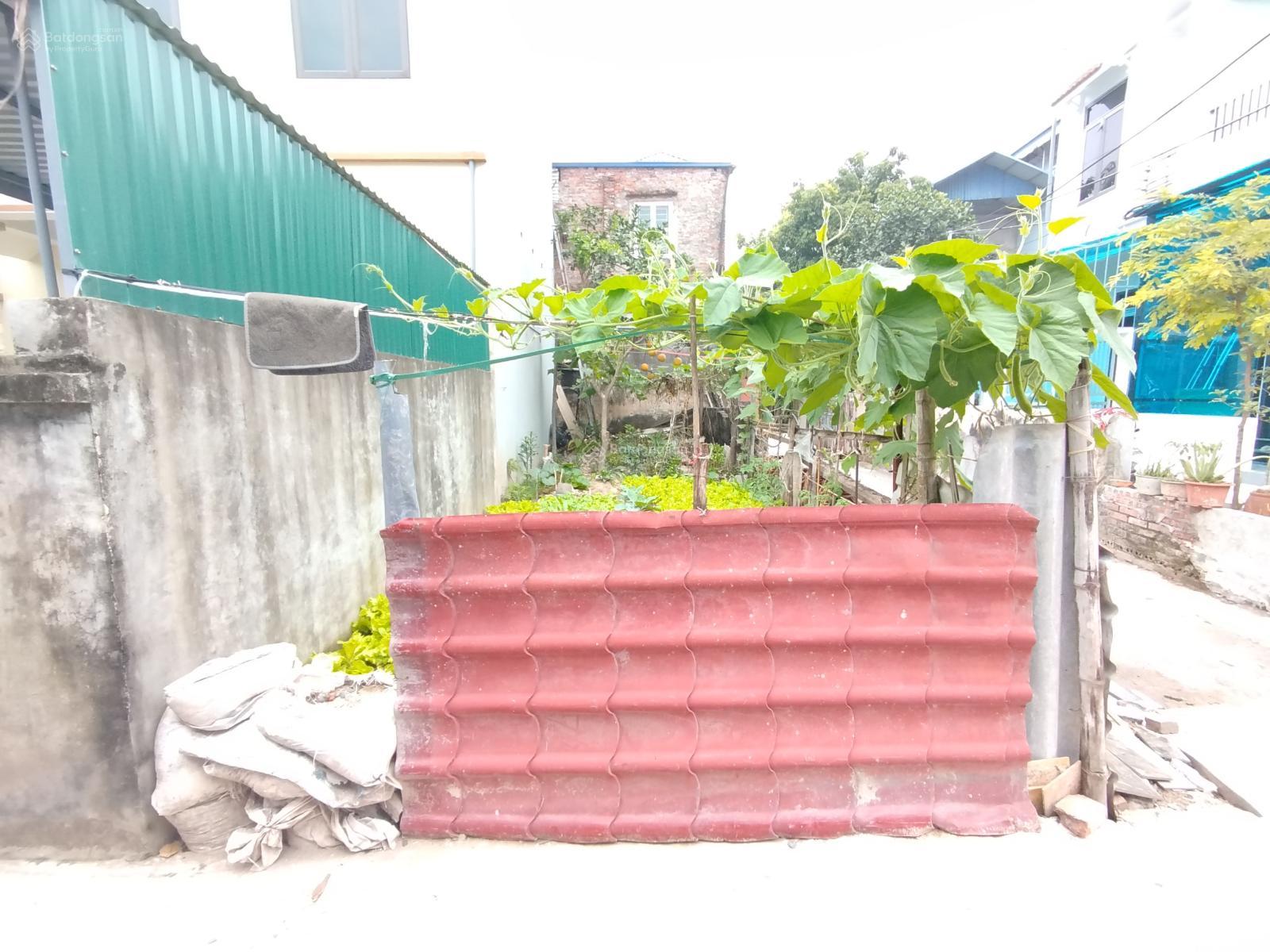 NHỈNH 4 TỶ LÔ GÓC 46M2 ĐẤT TAM HƯNG Ô TÔ ĐỖ CỔNG,SÁT VÁCH VINOLIMPIC, GẦN CHỢ, TRƯỜNG HỌC CÁC CẤP.