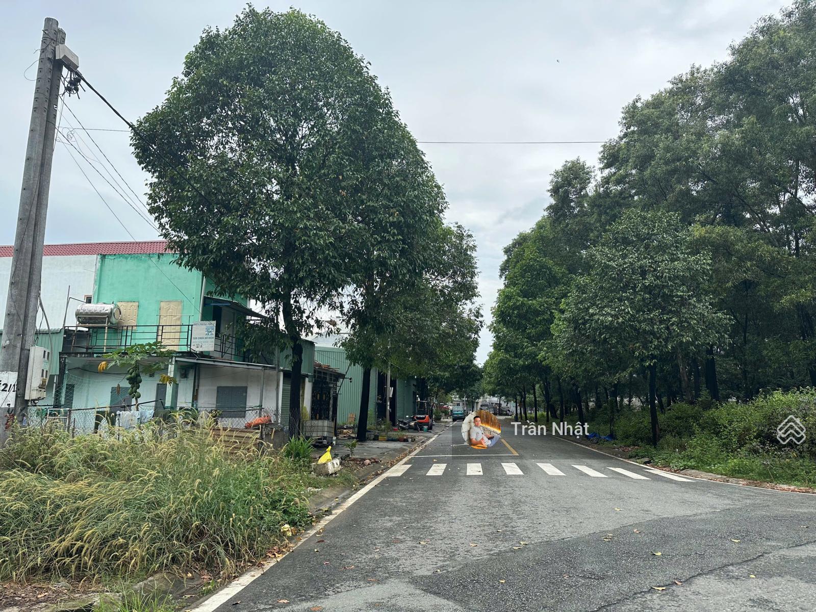 Chính Chủ Gửi Bán Gấp Lô Đất Đẹp Mặt Tiền Đường Số 99 Khu TĐC Phú Chánh D Giá Tốt