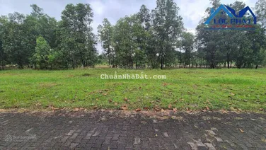 Bán đất KCN An Phước Long Thành, Đồng Nai, 45.000 m2