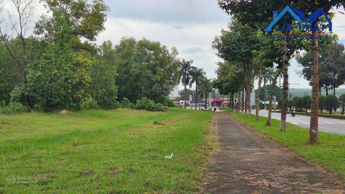 Bán đất KCN An Phước Long Thành, Đồng Nai, 45.000 m2 Bán đất KCN An Phước Long Thành, Đồng Nai, 45.000 m2