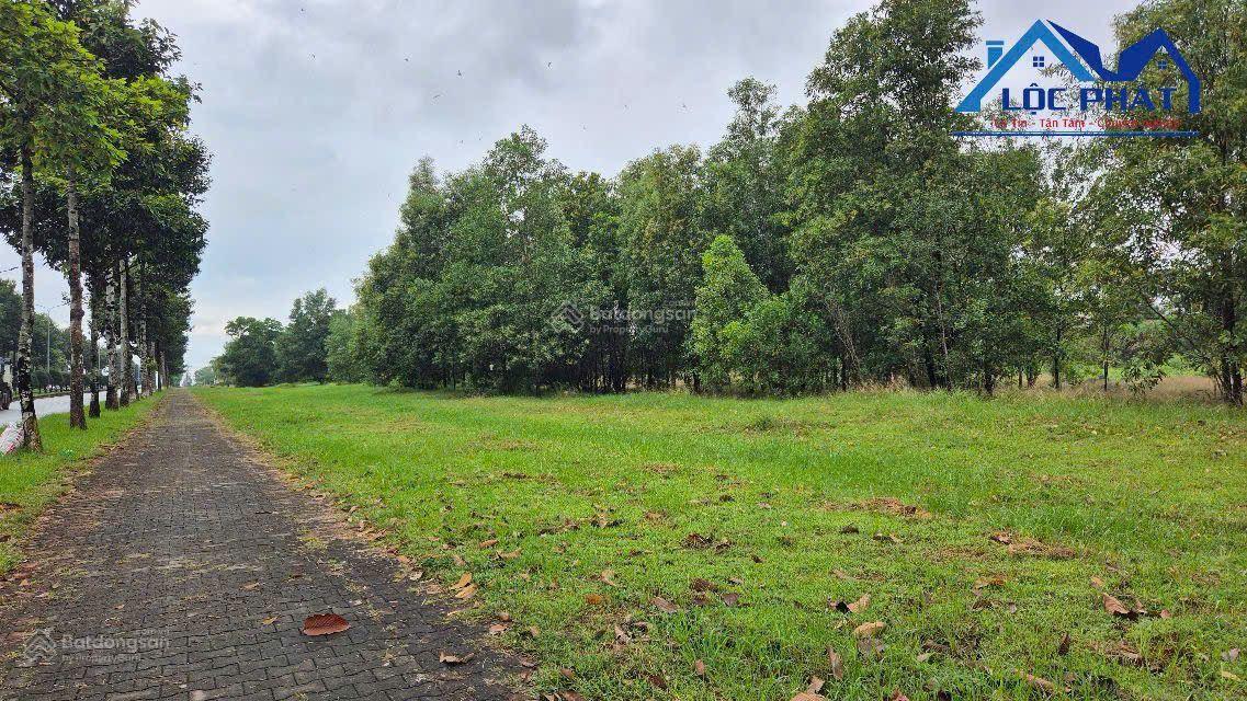 Bán đất KCN An Phước Long Thành, Đồng Nai, 45.000 m2 Bán đất KCN An Phước Long Thành, Đồng Nai, 45.000 m2