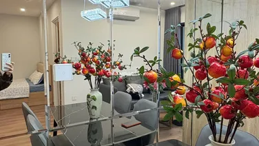 Bán CC đẹp xuất sắc tại Imperia Smart City 1 , 5,045 tỷ, 48m2, 2PN, 1WC, view CV. Tuấn 0392 969 ***