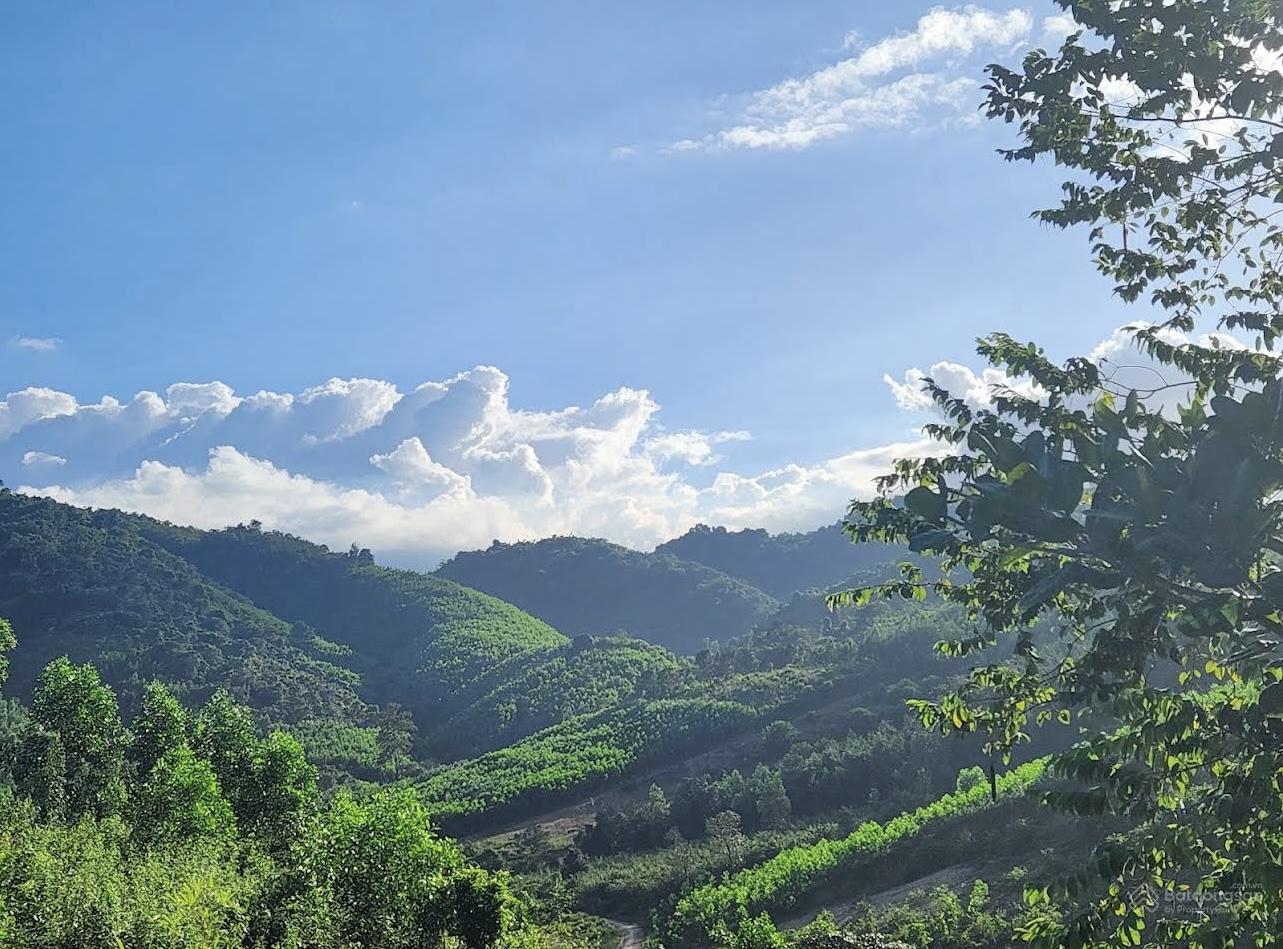 1,1 HA MẶT TIỀN QL27C CÓ THỔ CƯ - CẦU BÀ KHÁNH VĨNH, VIEW SÔNG KHÁNH LÊ CỰC ĐẸP, GIÁ ĐẦU TƯ