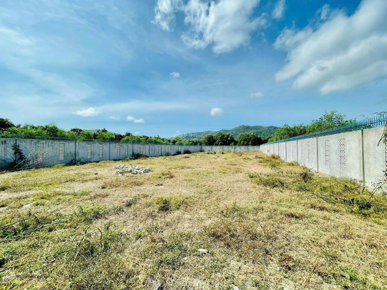 Chủ lại hạ giá lô đất đẹp xây tường rào kiên cố giảm nửa tỷ rùi. Đất ven biển Phước Hải - BRVT