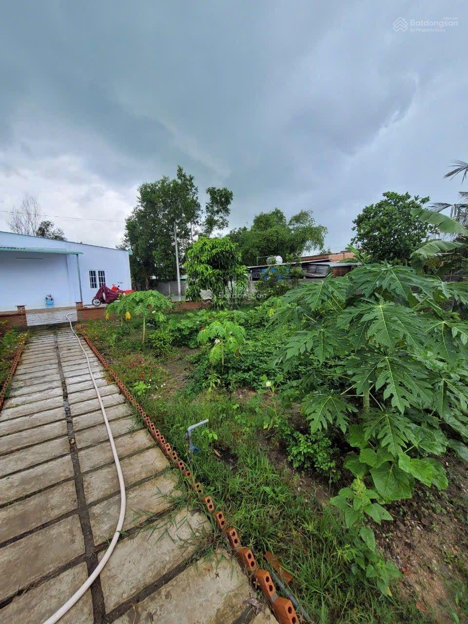 Bán nhà vườn có sẵn nhà chòi. Nhà cấp 4 vườn cây ăn trái. Xã Hiệp Hòa Long An hướng gần sân golf