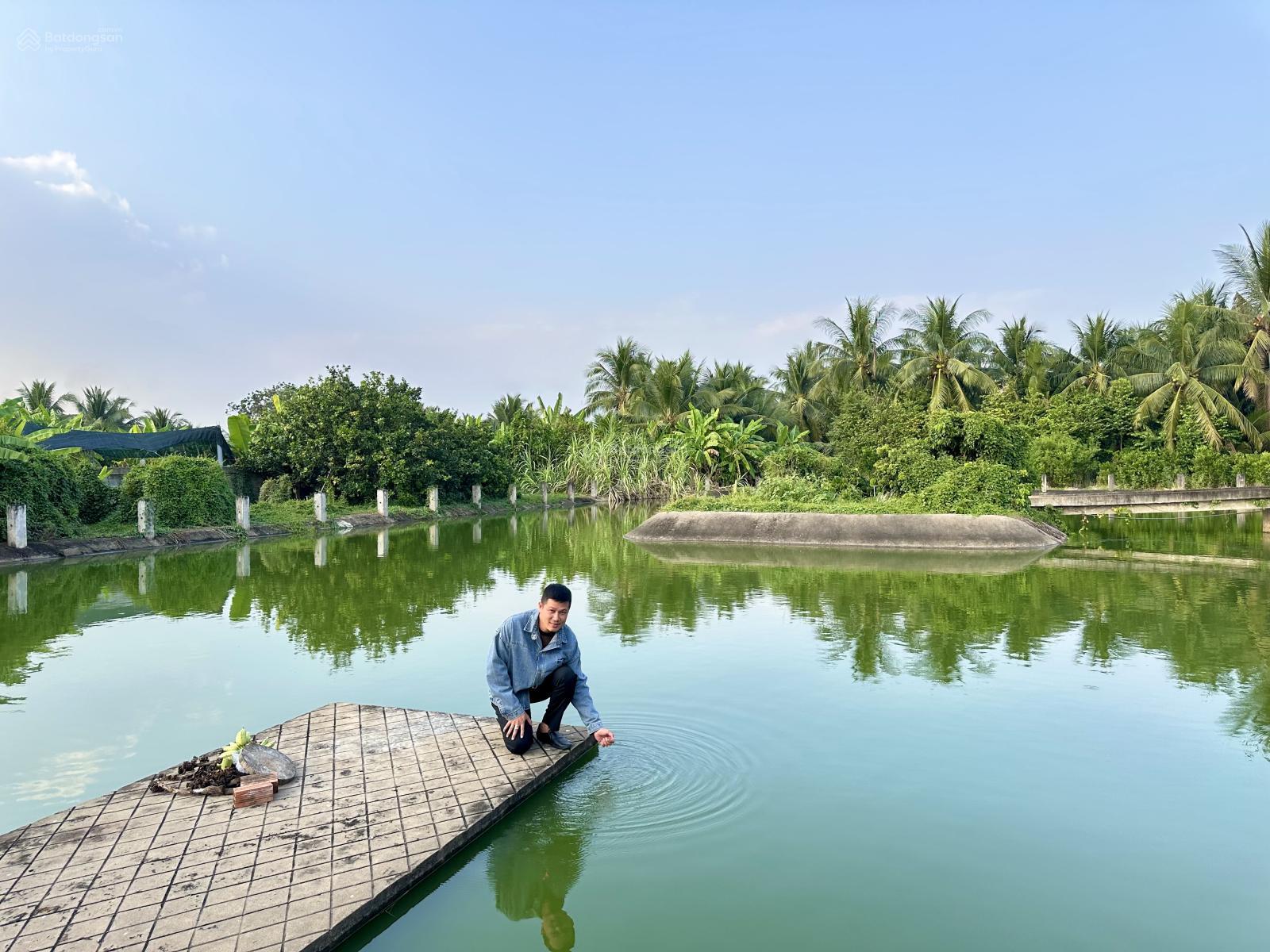 Bán 9.600m2 BĐS nghỉ dưỡng ven sông hàng hiếm Cồn Tân Long TP. Mỹ Tho Tiền Giang