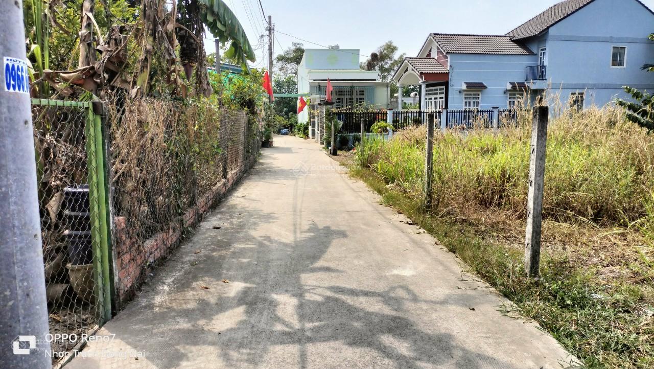 Lô đất Thổ vườn đường Bê Tông xe hơi tận nơi gần ubnd xã Phú Thạnh, Vành đai 3