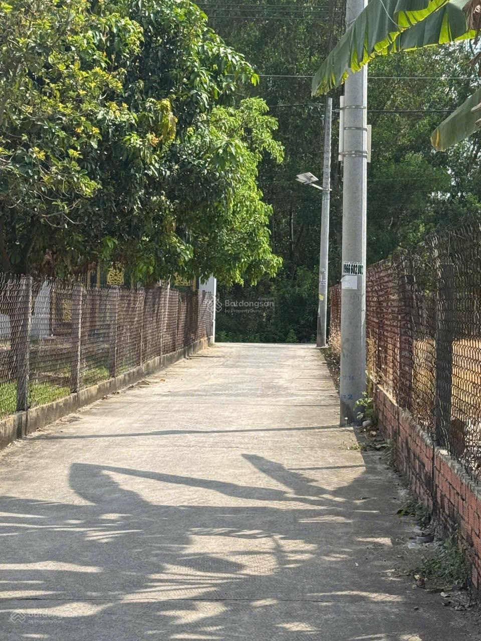 Lô đất Thổ vườn đường Bê Tông xe hơi tận nơi gần ubnd xã Phú Thạnh, Vành đai 3