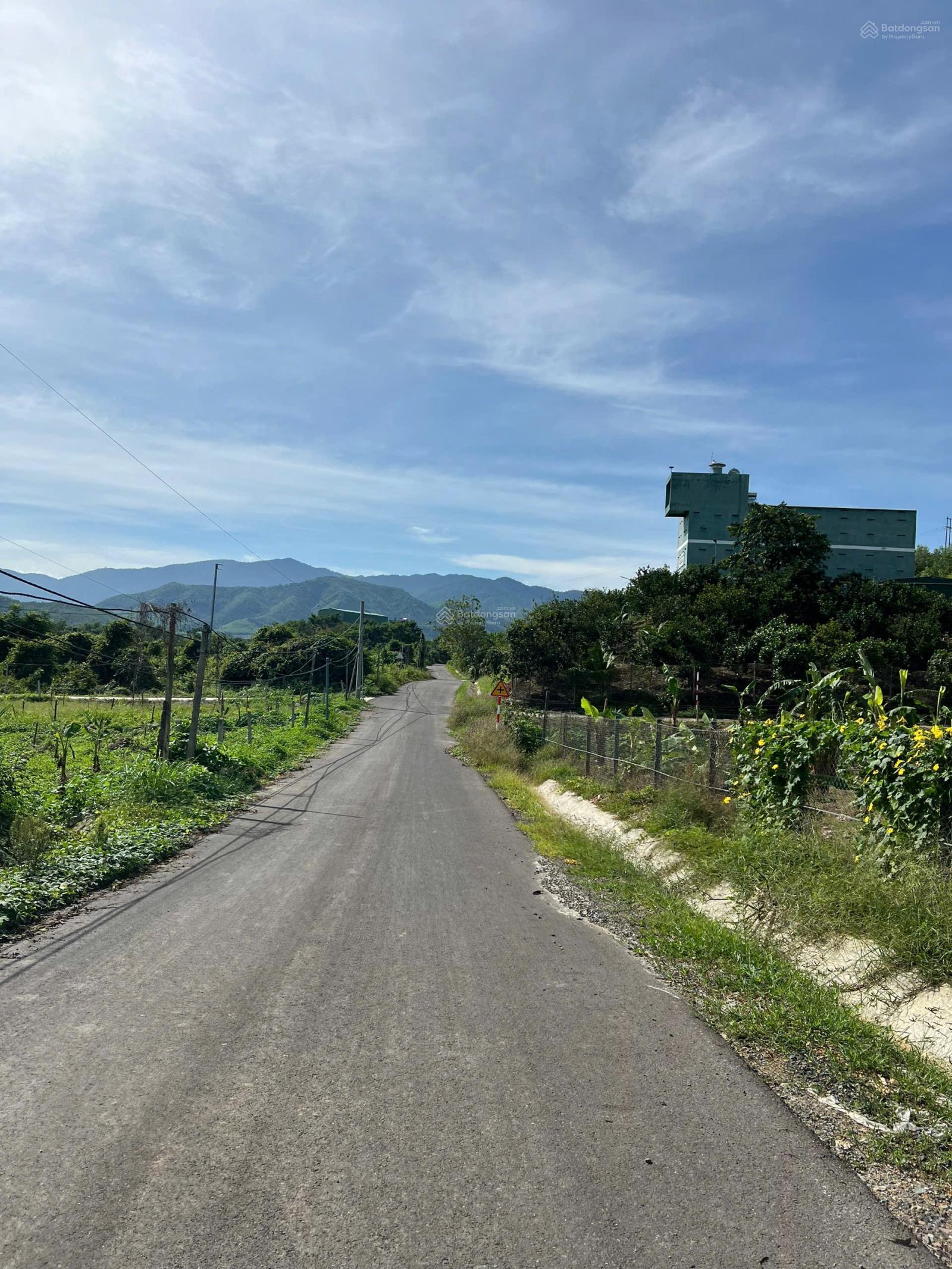 Đất full thổ cư - mặt tiền đường nhựa - trung tâm xã Sông Cầu Khánh Vĩnh chỉ 800 triệu Đất full thổ cư - mặt tiền đường nhựa - trung tâm xã Sông Cầu Khánh Vĩnh chỉ 800 triệu