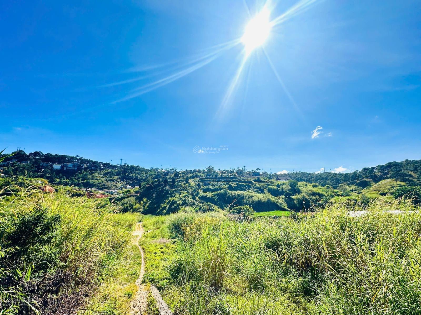 Đất An Bình view cáp treo phường Xuân Hương, cách Hồ Xuân Hương 2,5km Đất An Bình view cáp treo phường Xuân Hương, cách Hồ Xuân Hương 2,5km