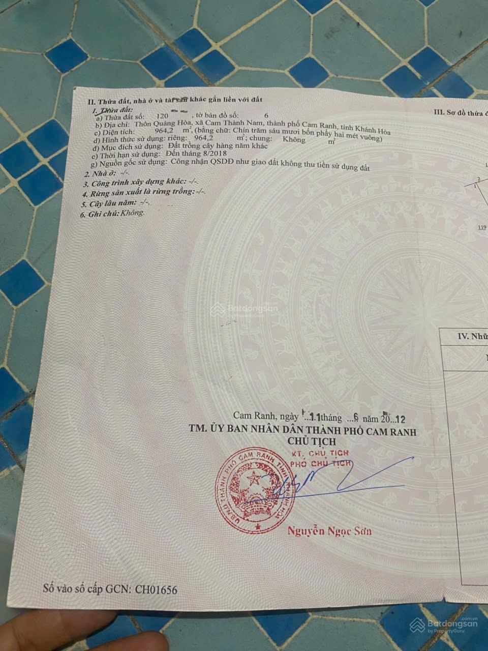 Quảng Hòa Cam Thành Nam | 964m² | 400tr/nguyên lô Quảng Hòa Cam Thành Nam | 964m² | 400tr/nguyên lô