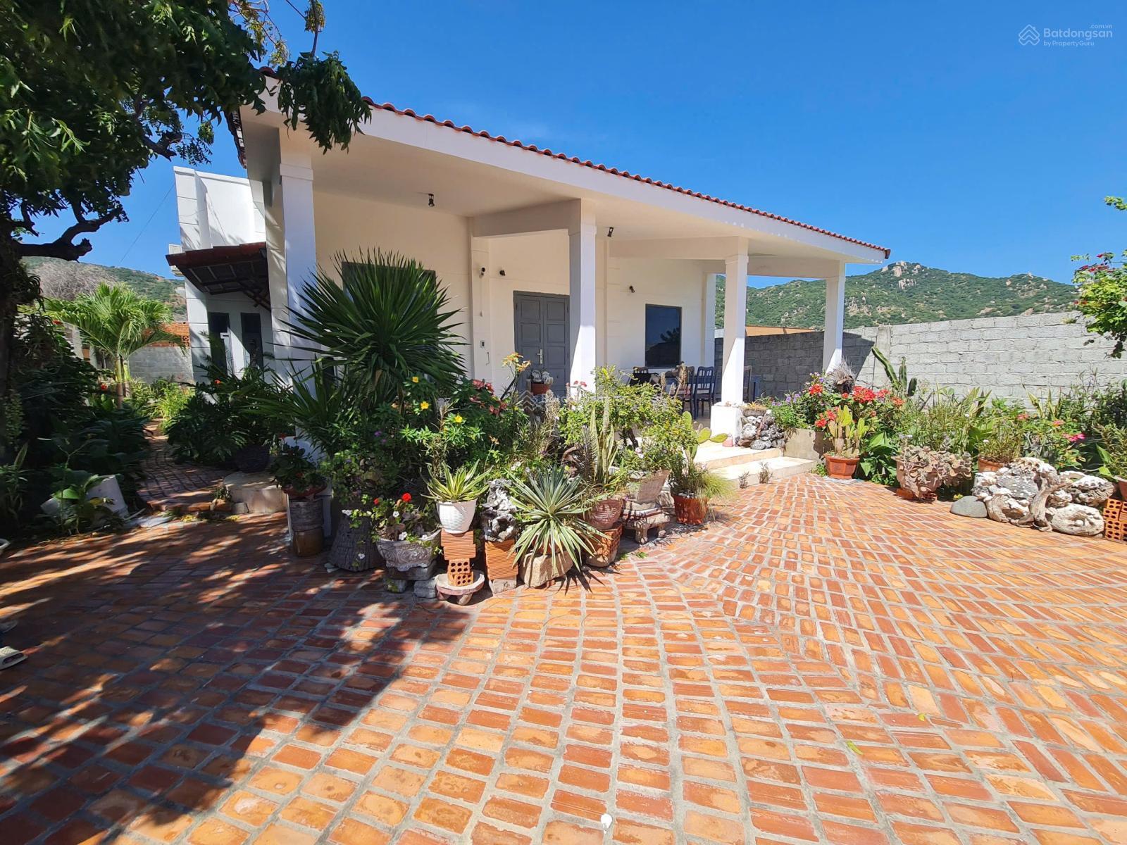 Bán villa mặt biển Vô Cực Mỹ Hòa - 487m2 - 11.9 tỷ - Thủ phủ lướt ván diều