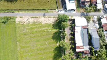 Ngộp bán gấp cắt lỗ 50 triệu, mặt tiền nhựa DH2