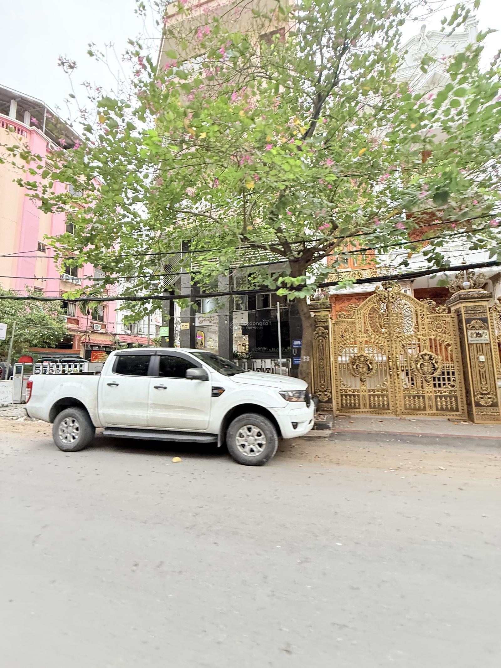 Nhà mặt tiền khu phân lô Nguyễn Oanh 221m2, 13x17m, 2T, Đường 12m, Khu Biệt Thự, gần mặt tiền Bờ Kè