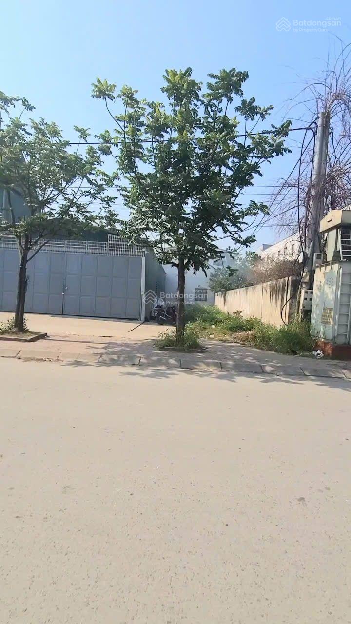 BÁN ĐẤT MẶT ĐƯỜNG KINH DOANH HỒ SỸ DƯƠNG HƯNG BÌNH TP VINH BÁN ĐẤT MẶT ĐƯỜNG KINH DOANH HỒ SỸ DƯƠNG HƯNG BÌNH TP VINH