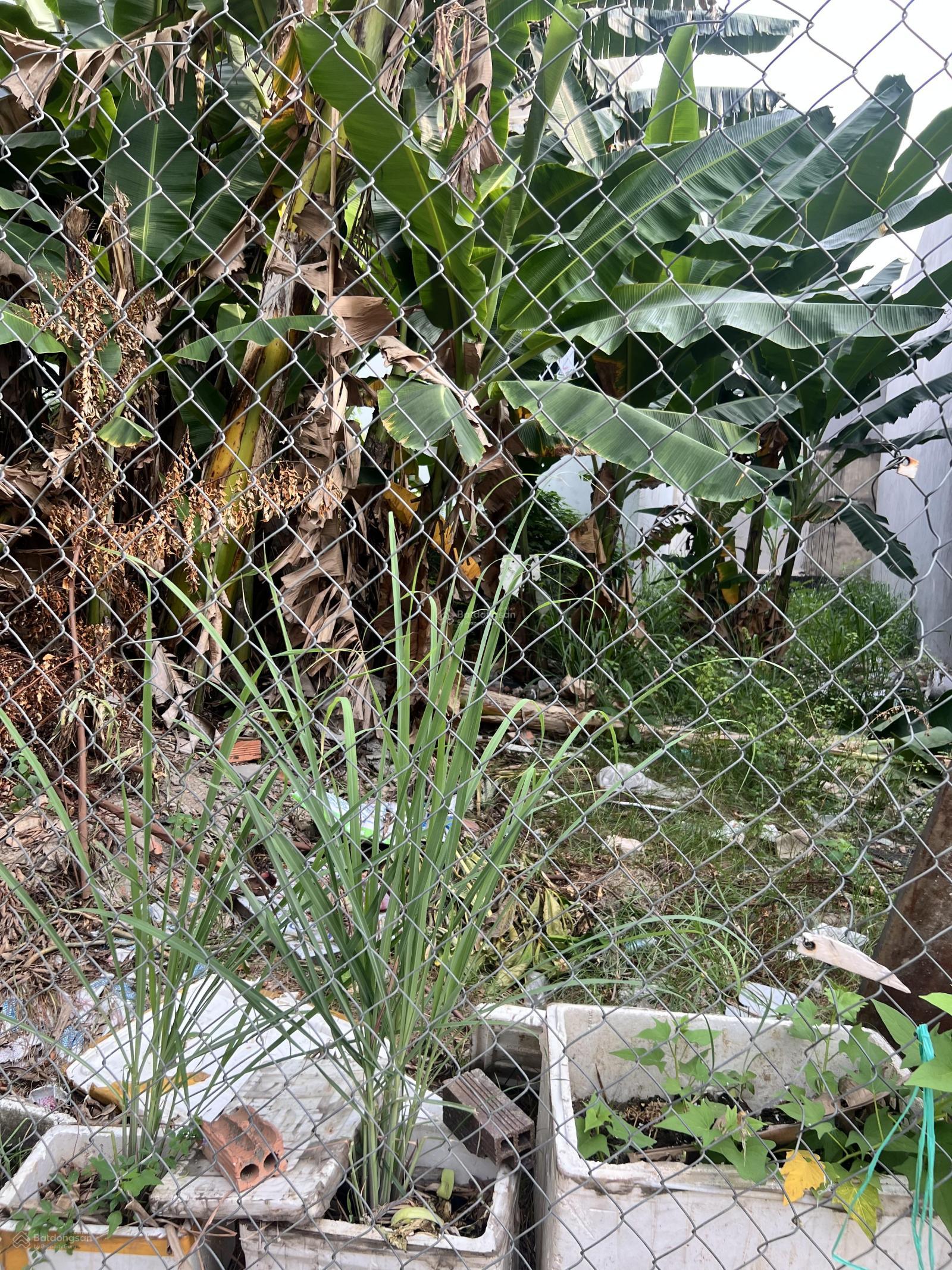 Bán đất 100m2 đường Trương Văn Hải, Quận 9 - Hẻm xe hơi, sát trường học, sổ riêng.