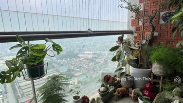 Bán gấp trước tết! Căn chung cư TSQ- Mỗ Lao- hoàn thiện đẹp- view triệu đô- 190m2- 4PN- VS- 13.2 tỷ