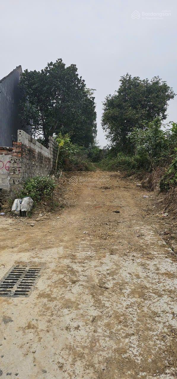 1281m2 đất phân lô hay nghỉ dưỡng đều đẹp tại Đông Nam Nam Phương Tiến 1281m2 đất phân lô hay nghỉ dưỡng đều đẹp tại Đông Nam Nam Phương Tiến