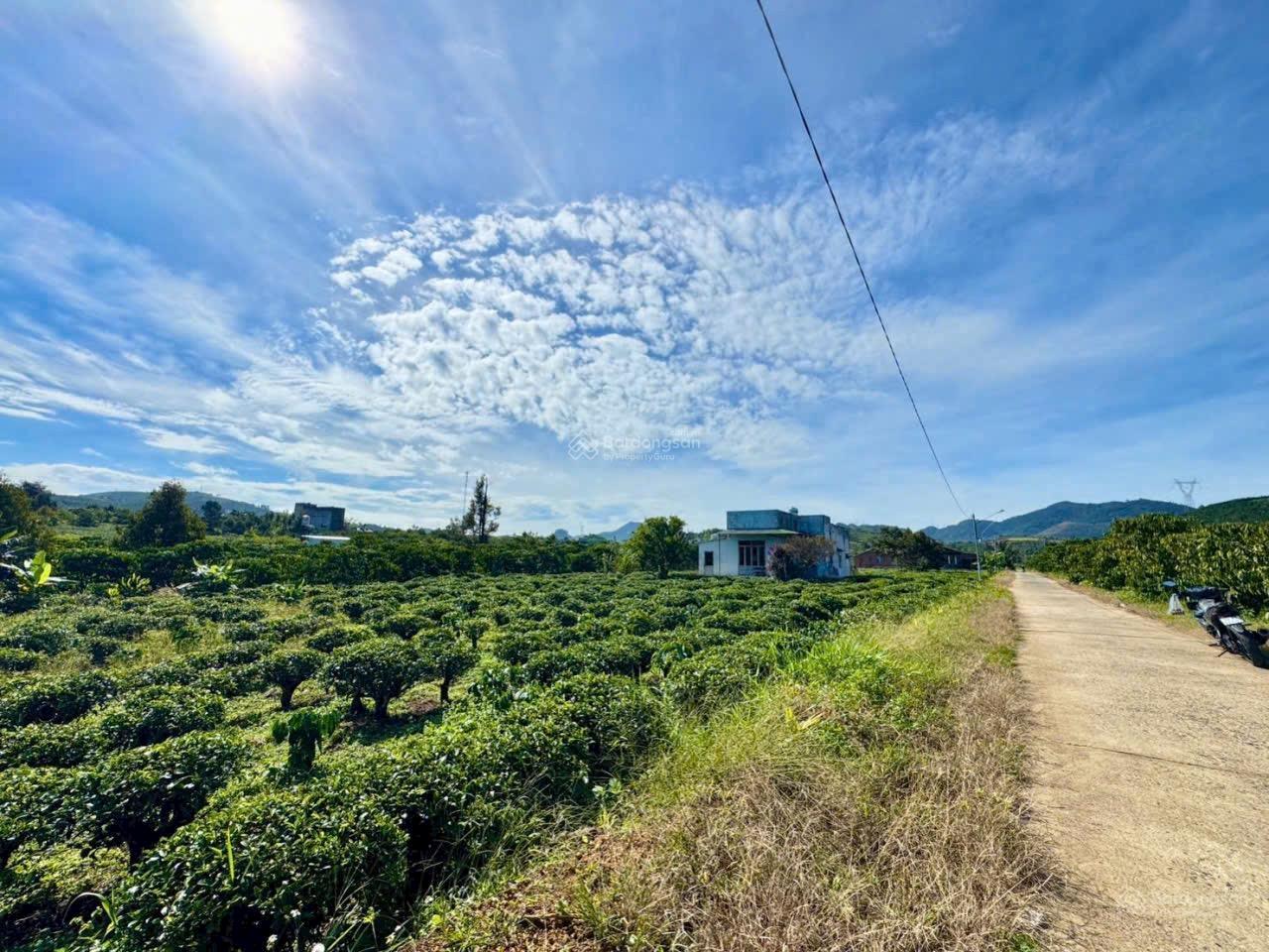 Kẹt tiền cần bán nhanh lô đất đẹp trong tháng 12