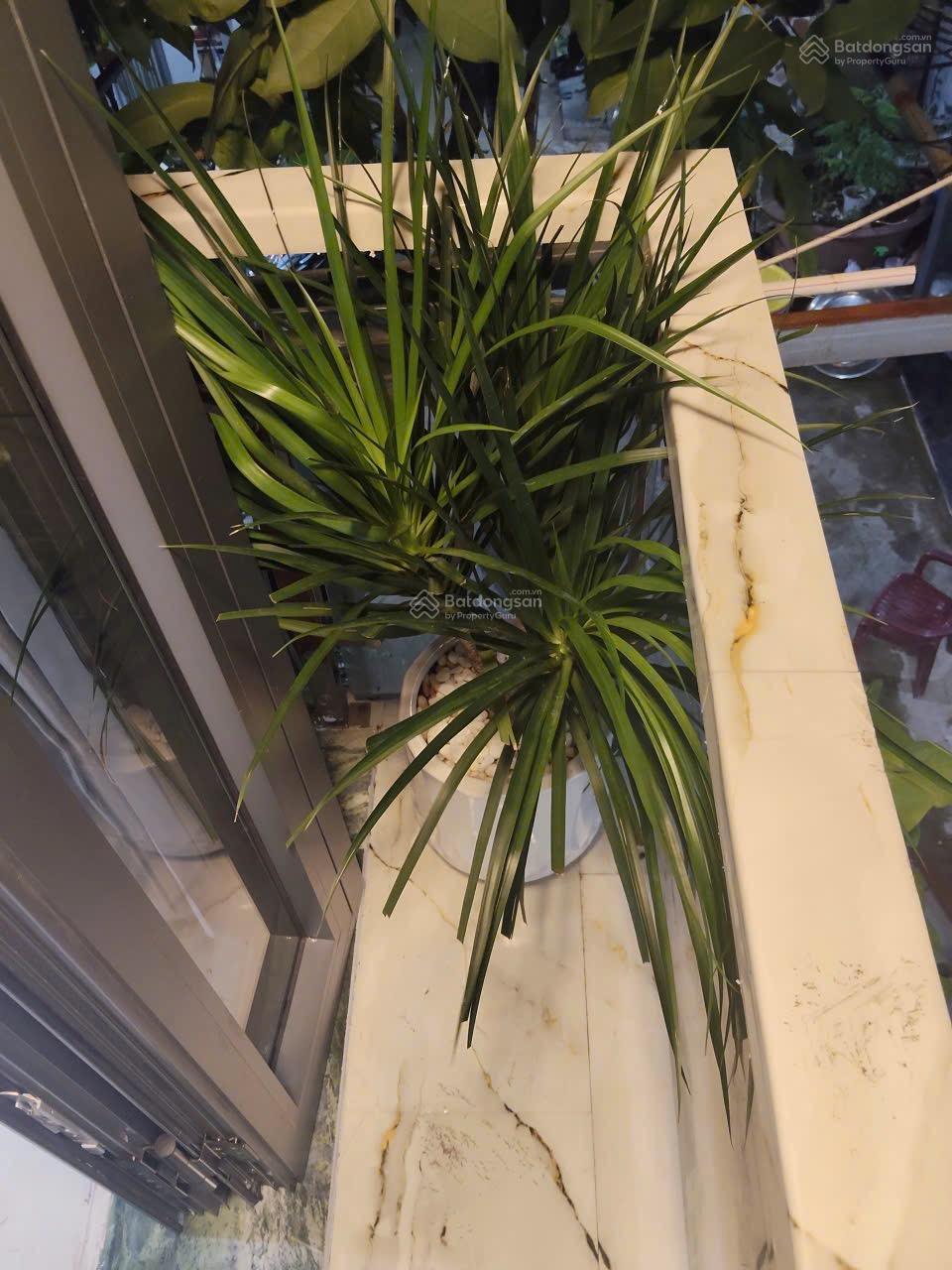 Bán nhà đẹp Sơn Kì, Tân Phú SHR giá 2,4 tỷ