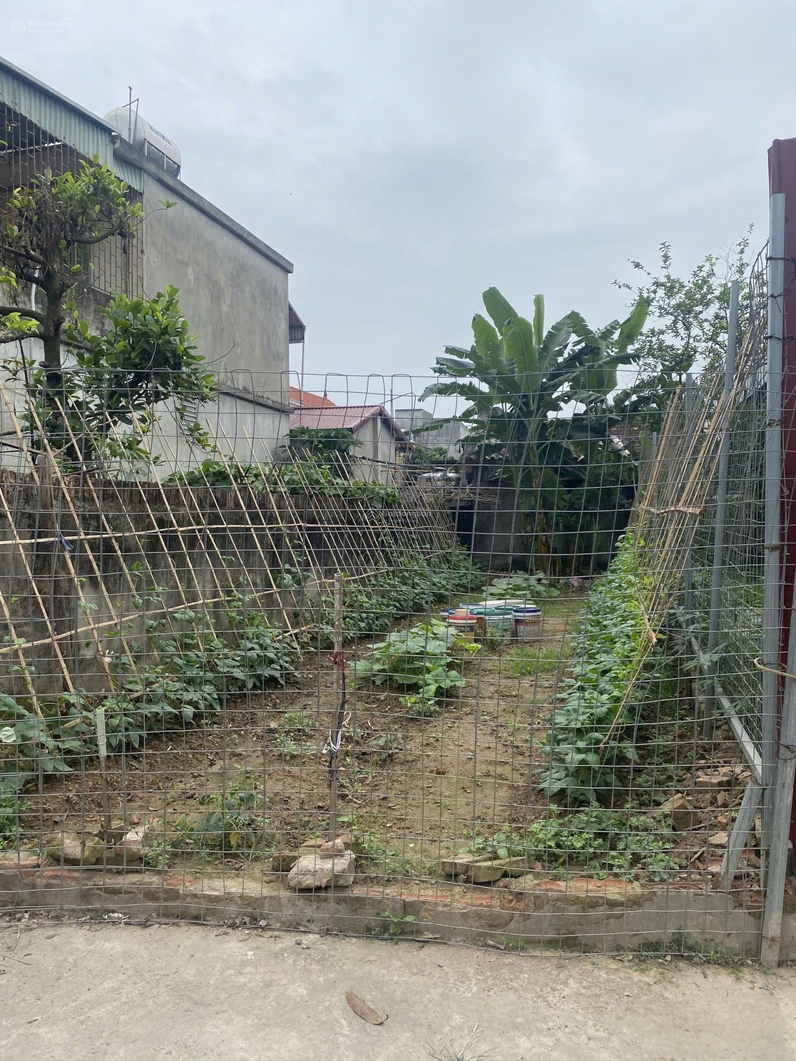 Bán 64,6m đất thôn Phượng Mỹ, Mỹ Hưng. Ô tô chạy thông