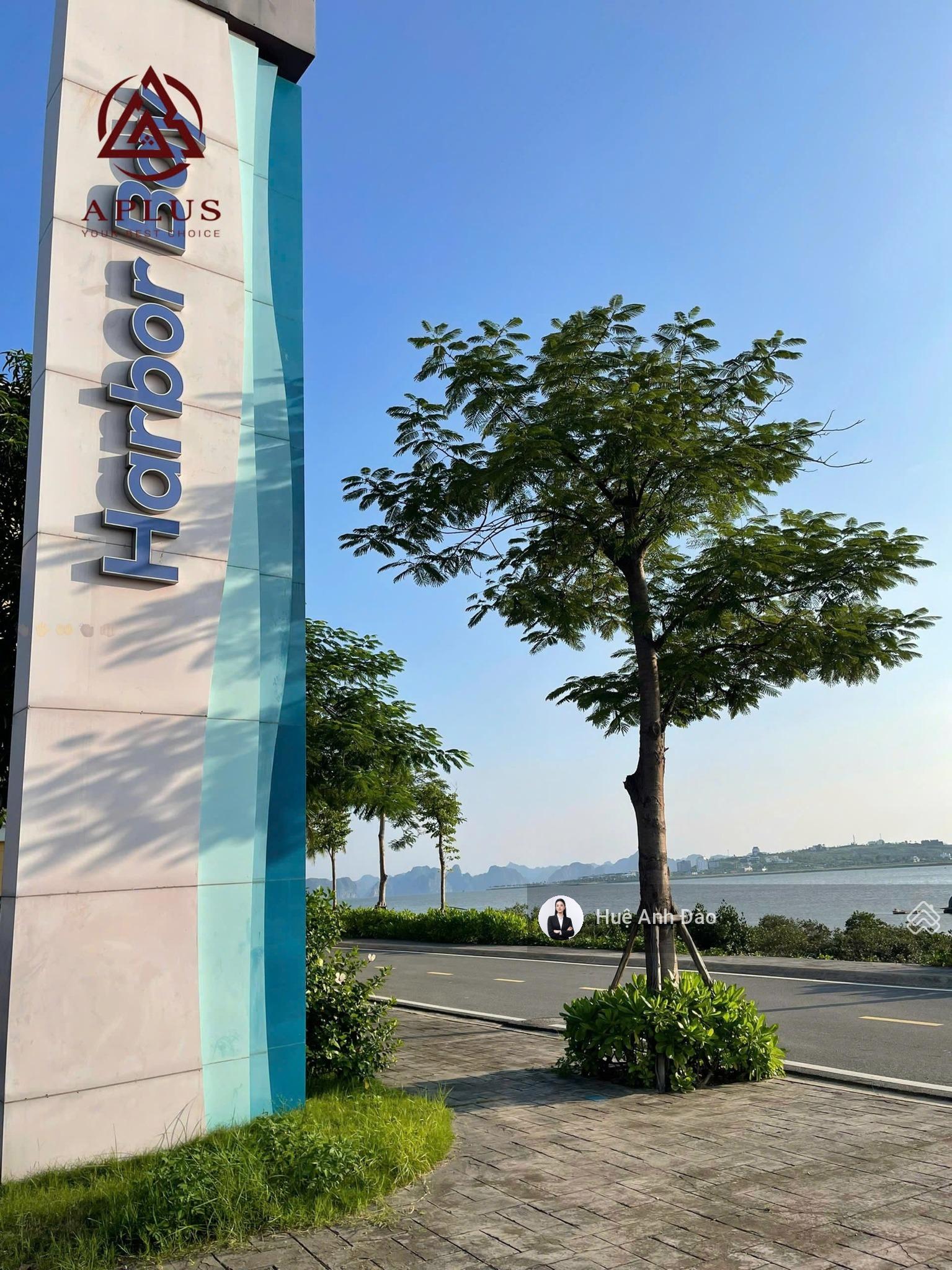 Khu cư dân yên tĩnh nhất Harbor Bay, phù hợp nghỉ dưỡng - giá 100% chỉ 7.3tỷ