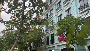 Khu cư dân yên tĩnh nhất Harbor Bay, phù hợp nghỉ dưỡng - giá 100% chỉ 7.3tỷ