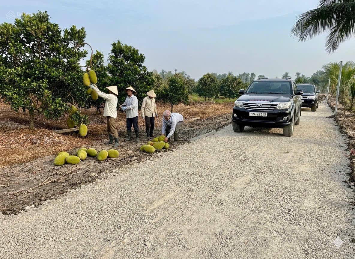 Bán đất 500m2 tại Tỉnh Lộ 816, Bình Đức, Bến Lức, Long An, giá 650 triệu Bán đất 500m2 tại Tỉnh Lộ 816, Bình Đức, Bến Lức, Long An, giá 650 triệu