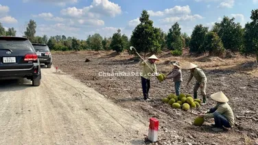 Bán đất 500m2 tại Tỉnh Lộ 816, Bình Đức, Bến Lức, Long An, giá 650 triệu