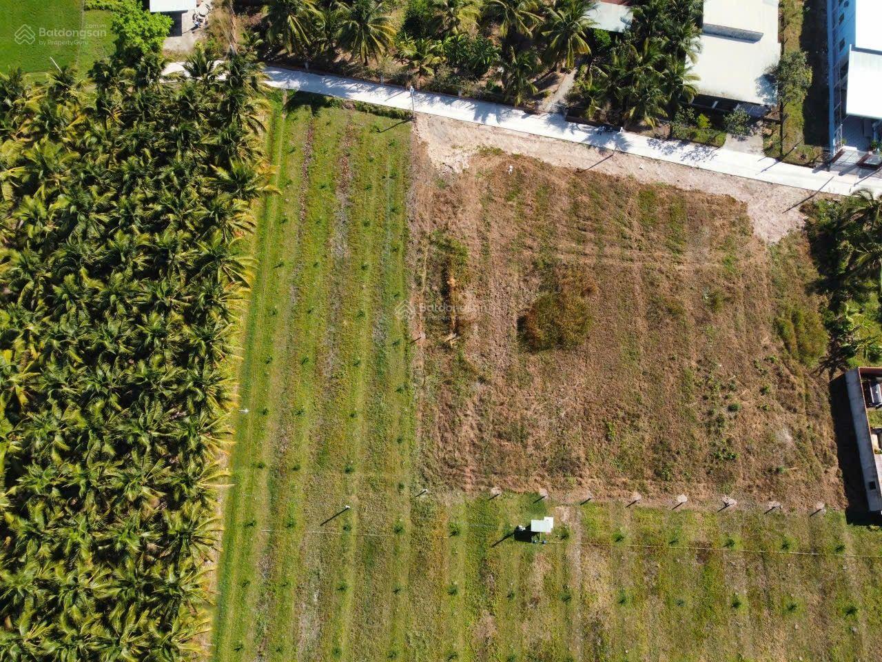 650tr, Đất full thổ cư, nở hậu, mặt tiền bê tông, gần chợ Phước Thạnh, Tây Ninh