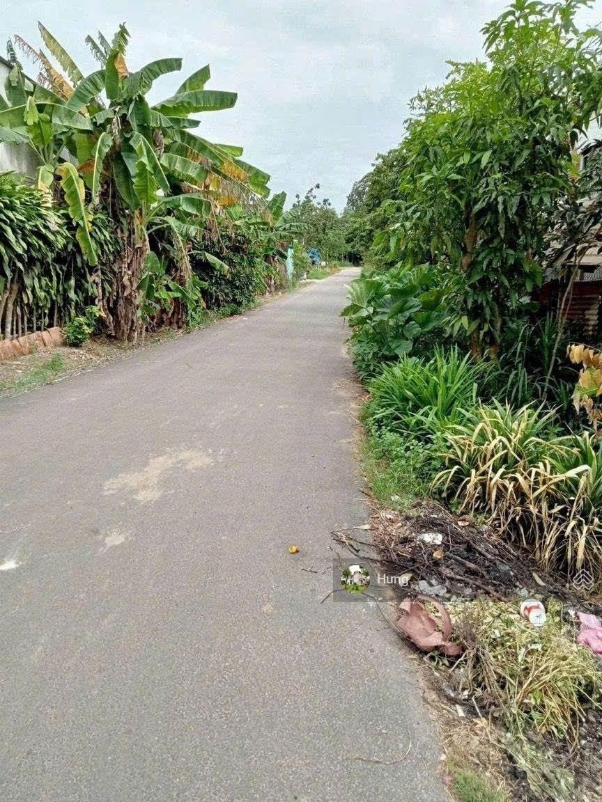 NGỘP HẠ GIÁ BÁN GẤP ĐẤT THỔ CƯ 2 MT QH ĐƯỜNG PHẠM VĂN CỘI NỐI DÀI GIÁ CỰC TỐT