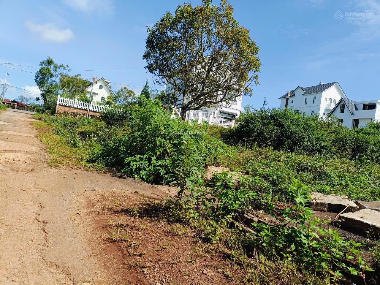 Bán Đất Mănglin 2 Mặt Tiền Phường 7 Đà Lạt (Giá 6tỷ TL)