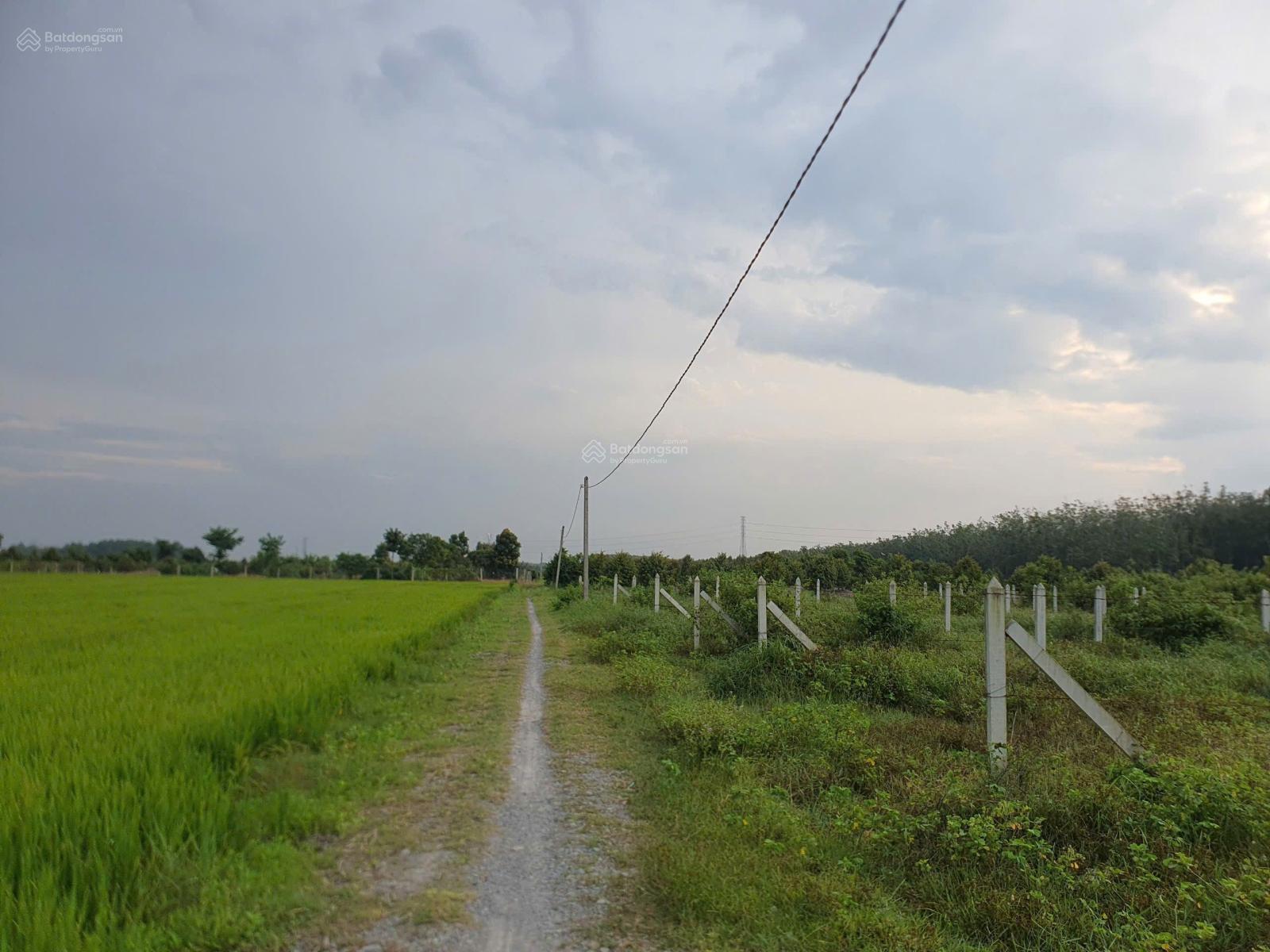 BÁN ĐẤT THỔ CƯ ẤP 7_ BÀU ĐỒN_ GÒ DẦU_ TÂY NINH BÁN ĐẤT THỔ CƯ ẤP 7_ BÀU ĐỒN_ GÒ DẦU_ TÂY NINH