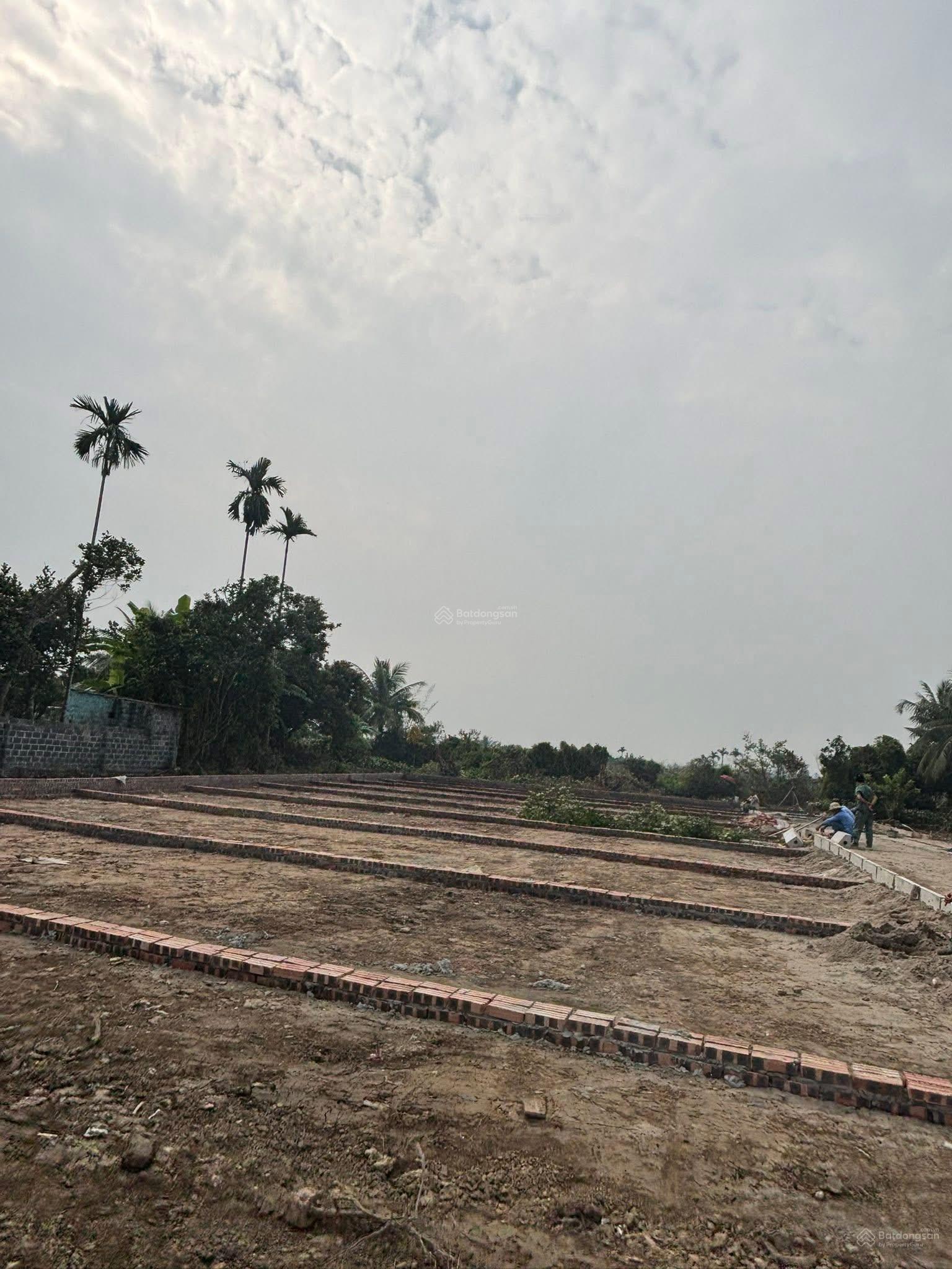 Trực Trang - Bát trang - an lão giá siêu mềm chỉ 6xx cơ hội đầu tư có 1 cho những nhà đầu tư.