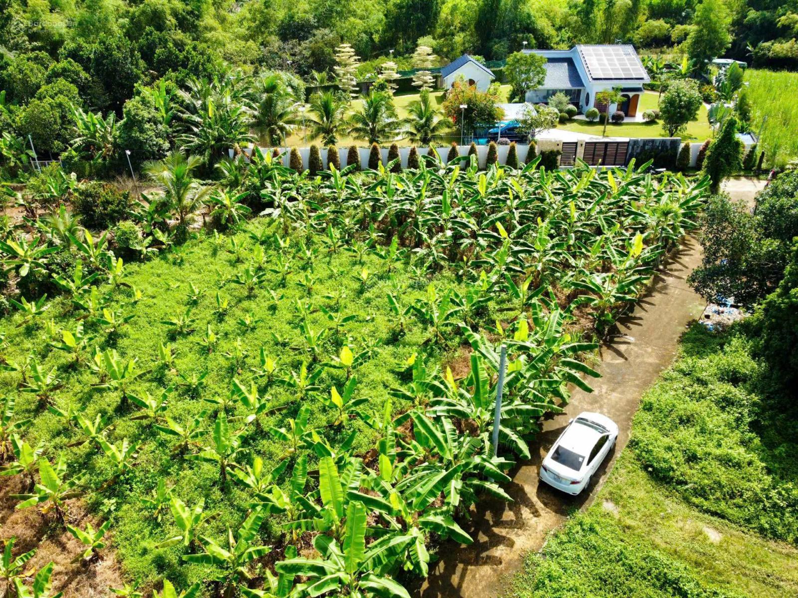 Bán lỗ đất 152m2 full thổ cư tại Suối Hiệp mới, Diên Khánh, đường oto, gần chợ, giá chỉ 5.5tr/m2