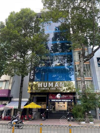 Cho thuê toà nhà 160 Lê Hồng Phong Phường 2 Quận 5 Cho thuê toà nhà 160 Lê Hồng Phong Phường 2 Quận 5